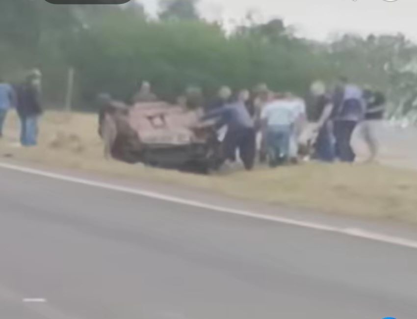 Divulgação
