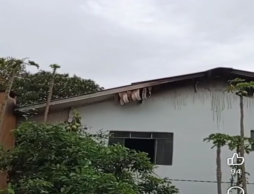 Leodir Pereira