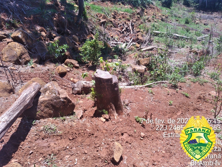 Assessoria de imprensa da Polícia Ambiental 