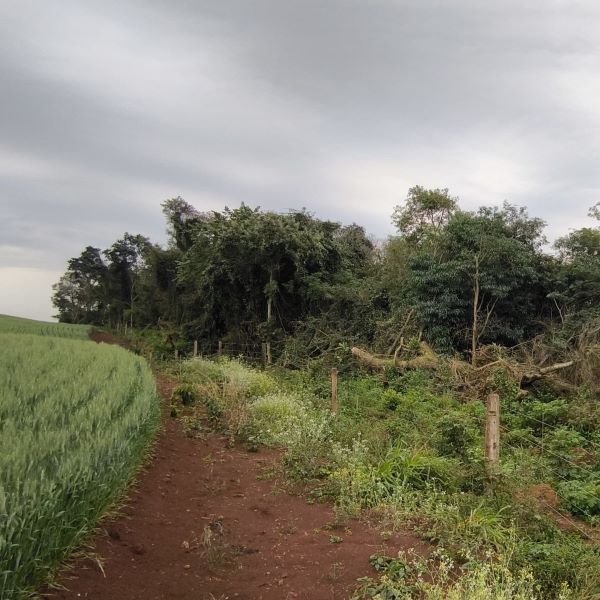 Polícia Ambiental