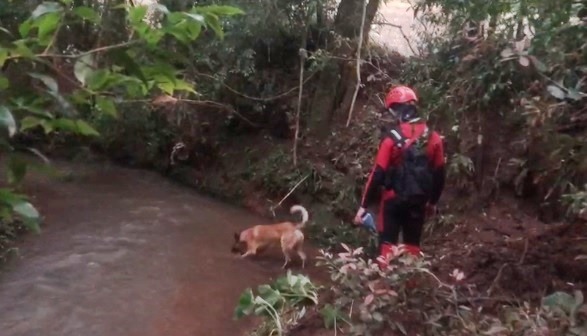 Corpo de Bombeiros