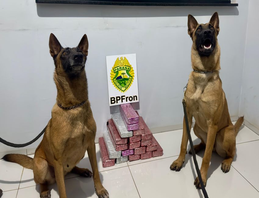BPFRON