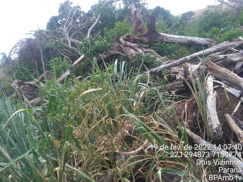 Polícia Ambiental