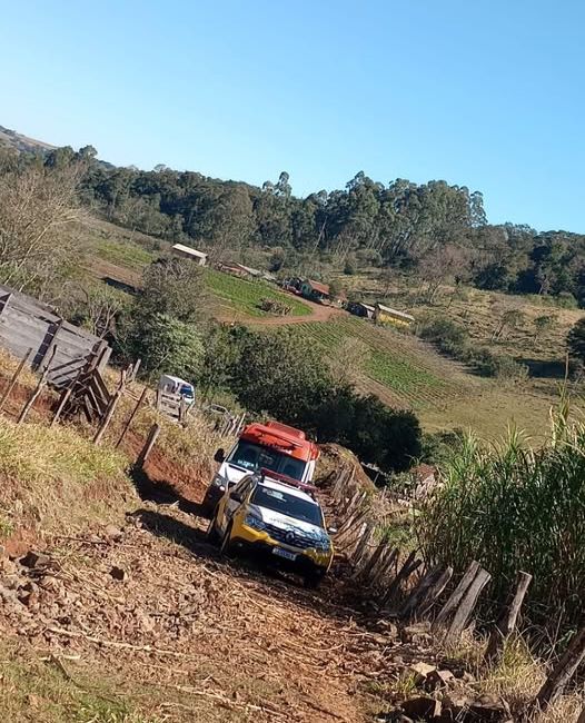 Divulgação