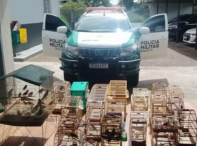 Policia Ambiental